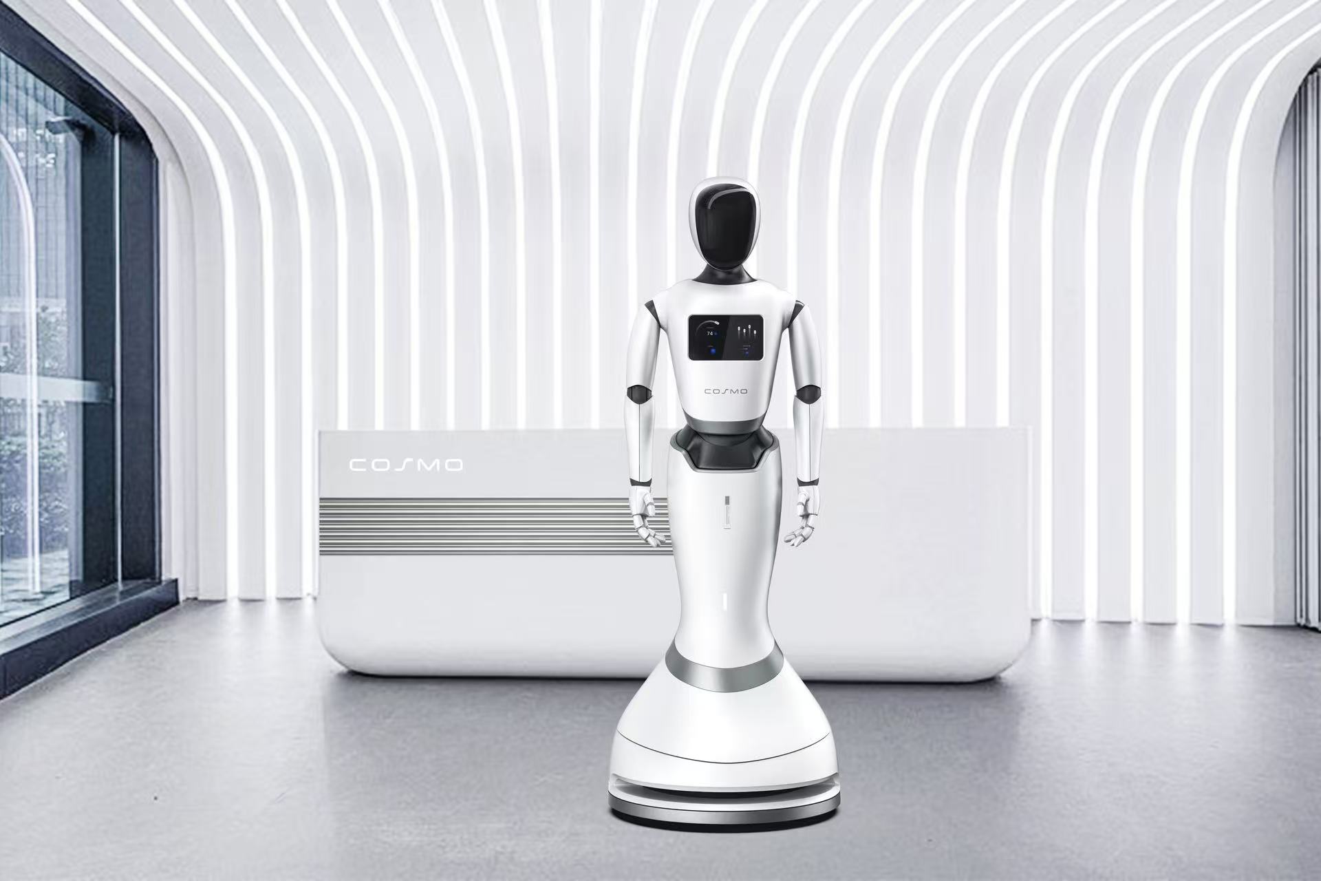 人形機(jī)器人(圖1)